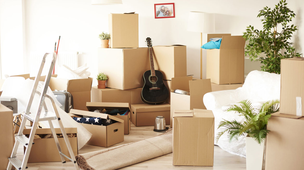 Surya Cargo Packers & Movers