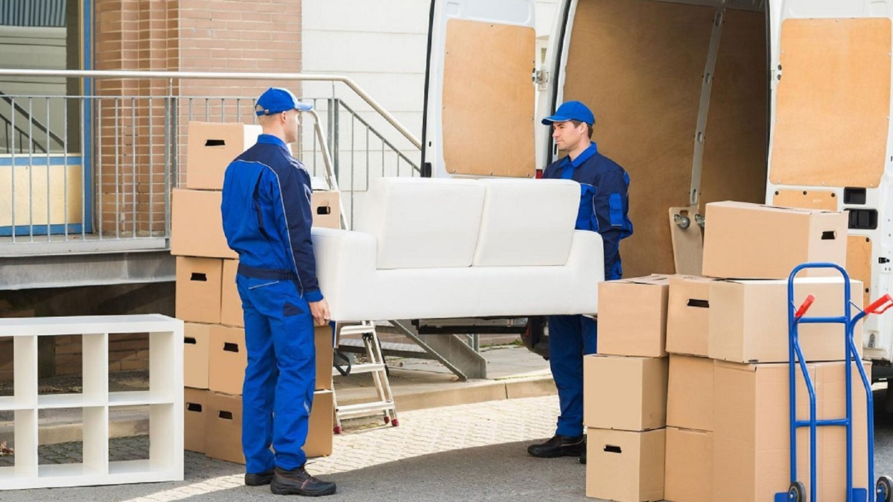 Surya Cargo Packers & Movers